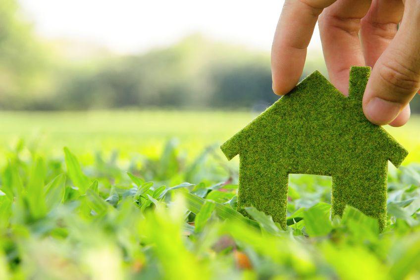 design ecologie